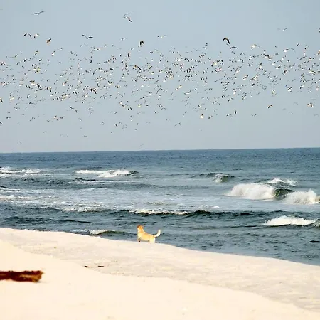 Beach'n'sea 5 Lejlighed *