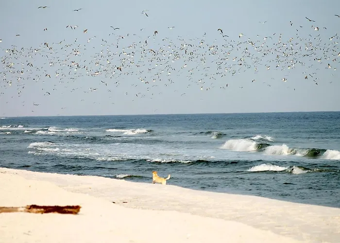 Beach'n'sea 5 Lägenhet *